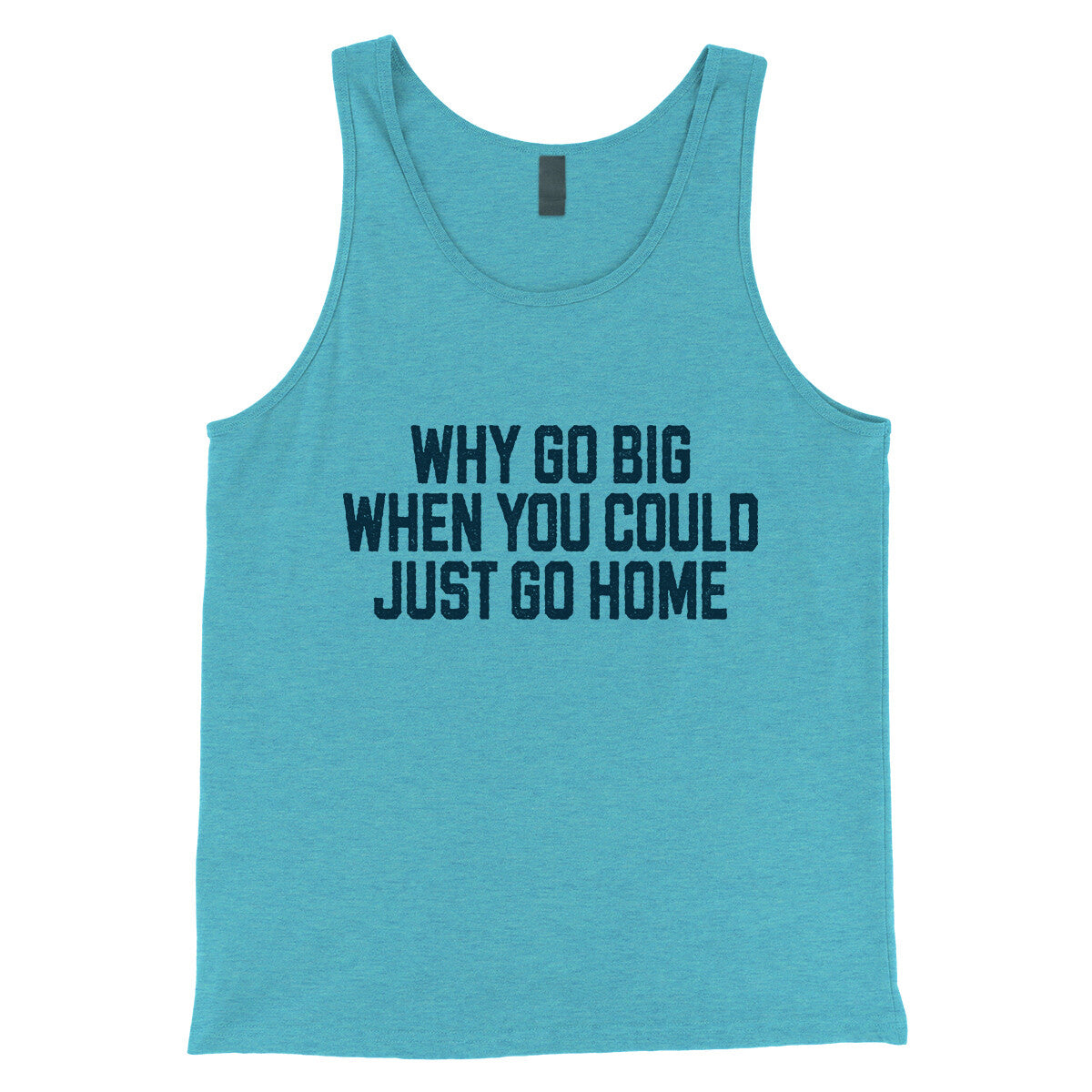Why Go Big When You Could Just Go Home in Aqua Triblend Color