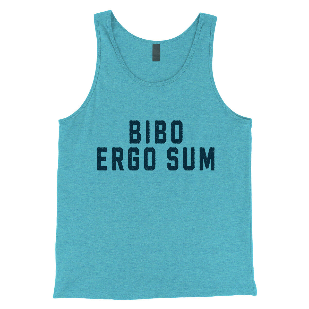 Bibo Ergo Sum in Aqua Triblend Color