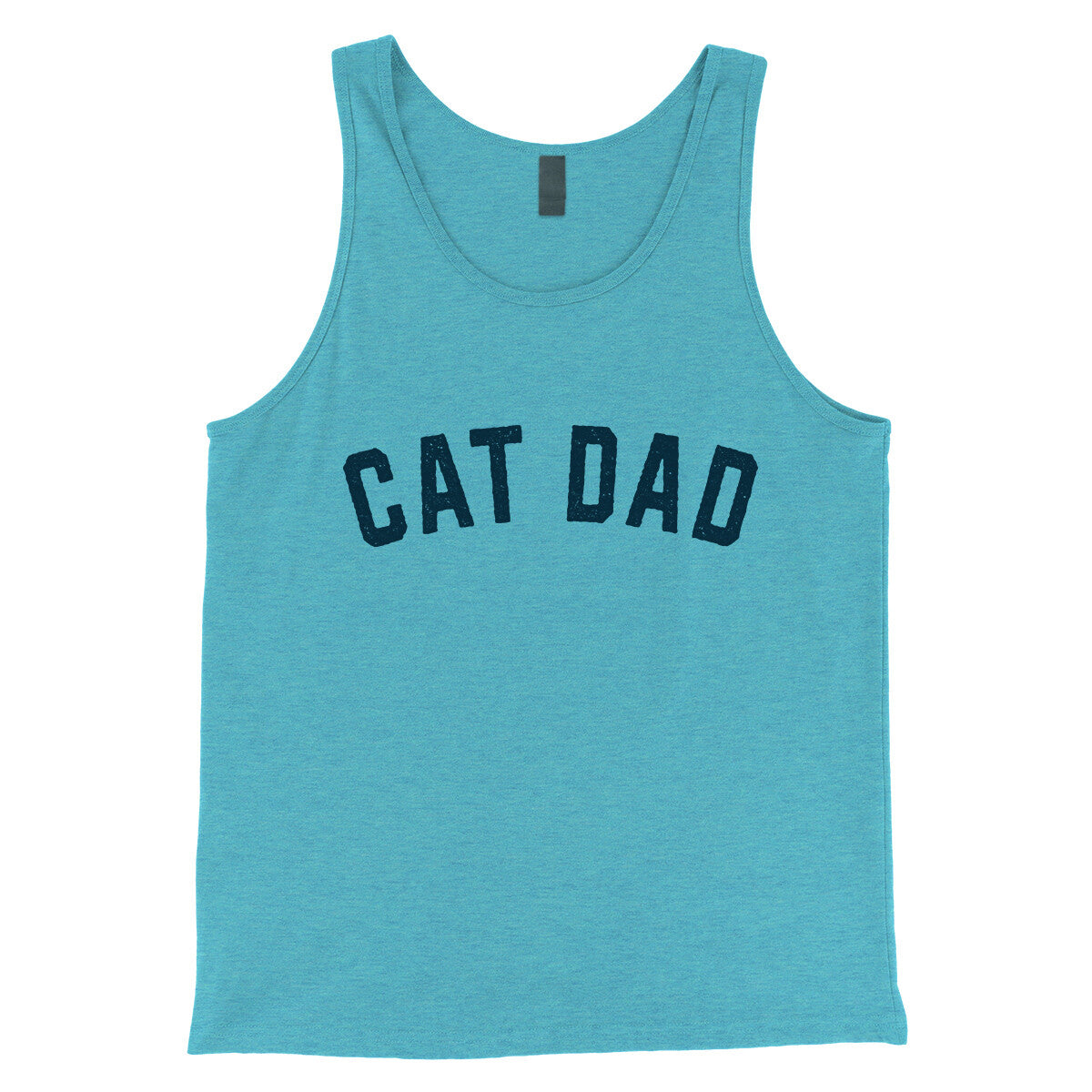 Cat Dad in Aqua Triblend Color