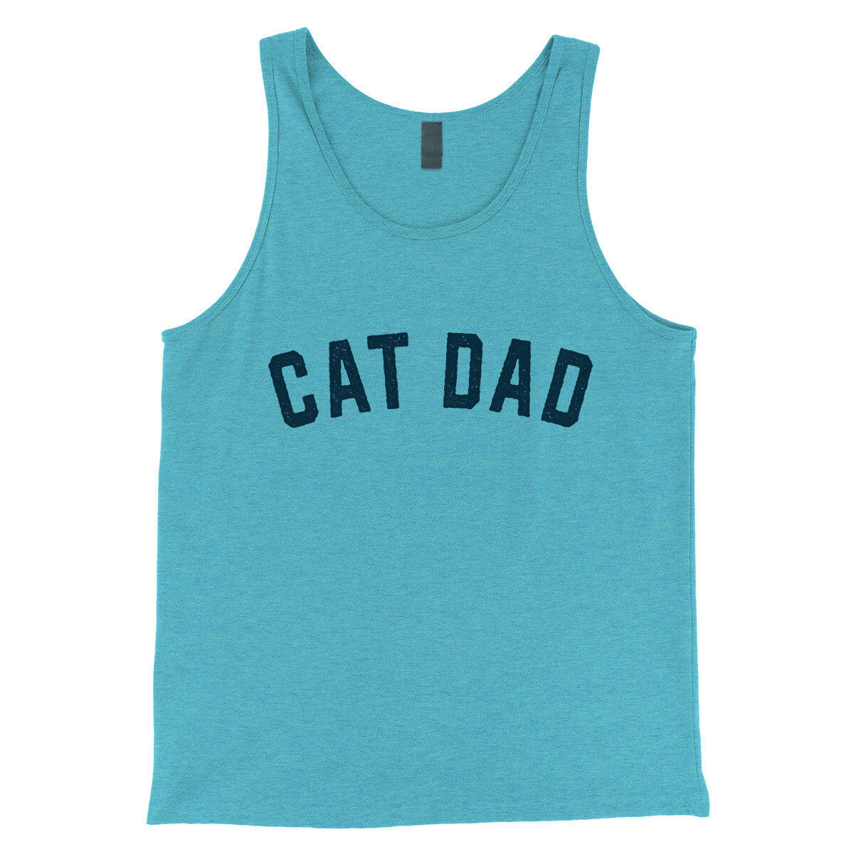 Cat Dad in Aqua Triblend Color