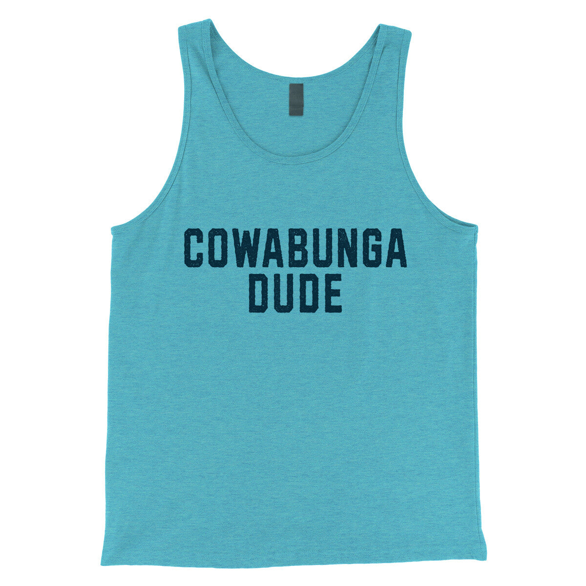 Cowabunga Dude in Aqua Triblend Color
