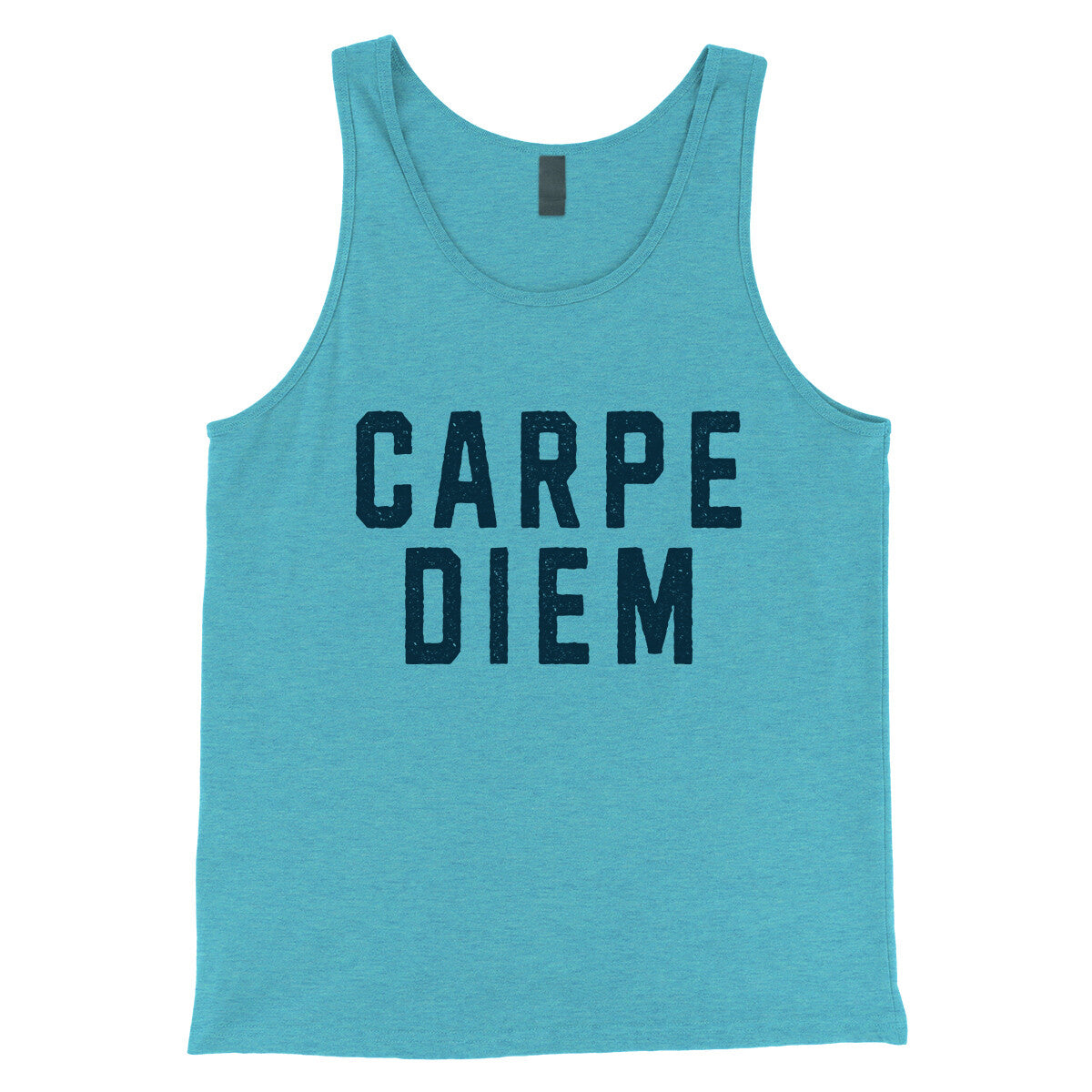 Carpe Diem in Aqua Triblend Color
