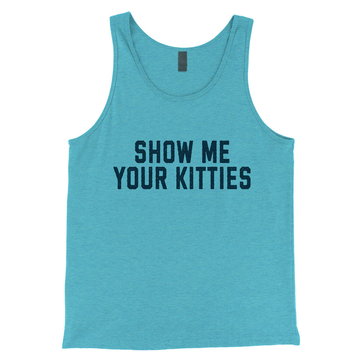 Show me Your Kitties in Aqua Triblend Color
