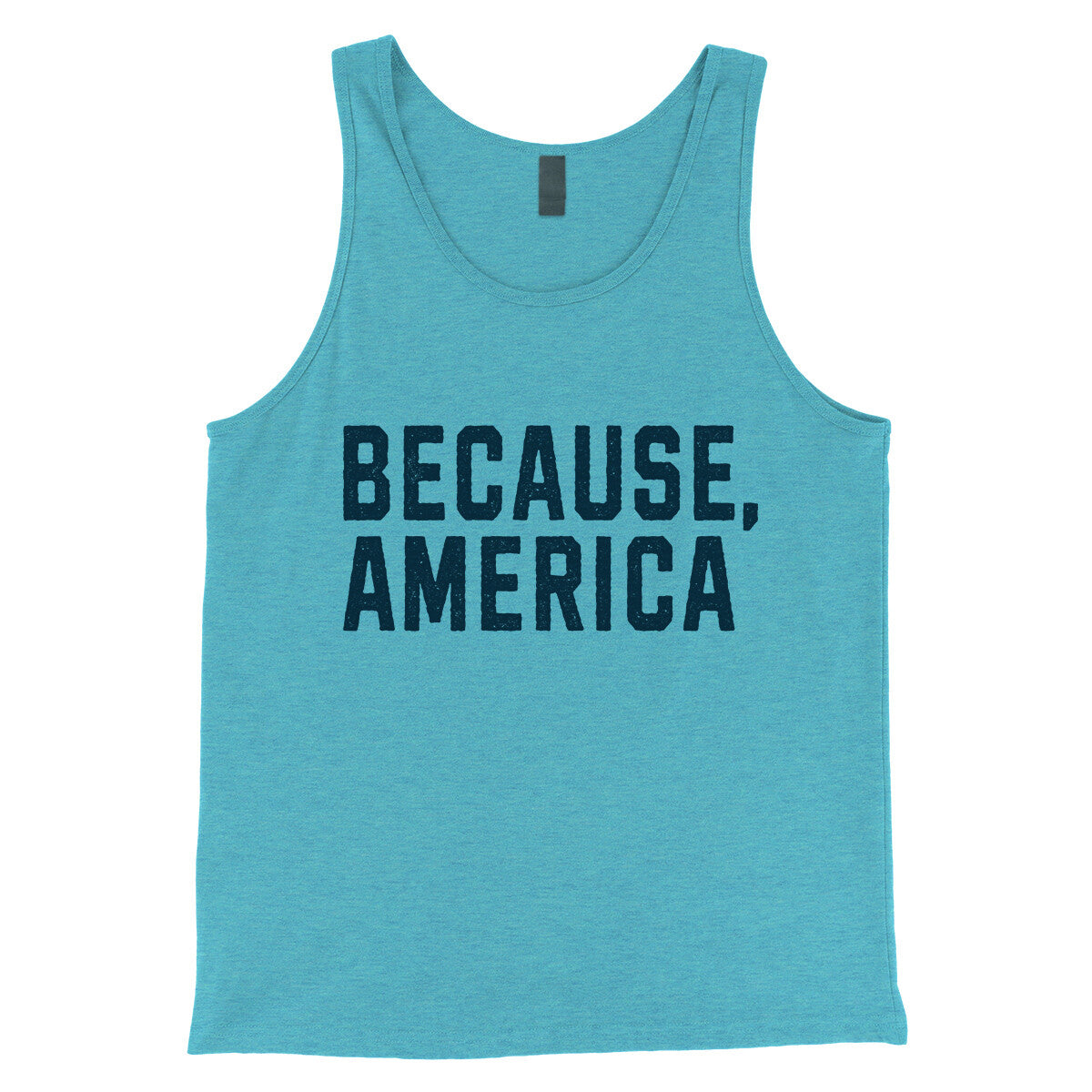 Because America in Aqua Triblend Color