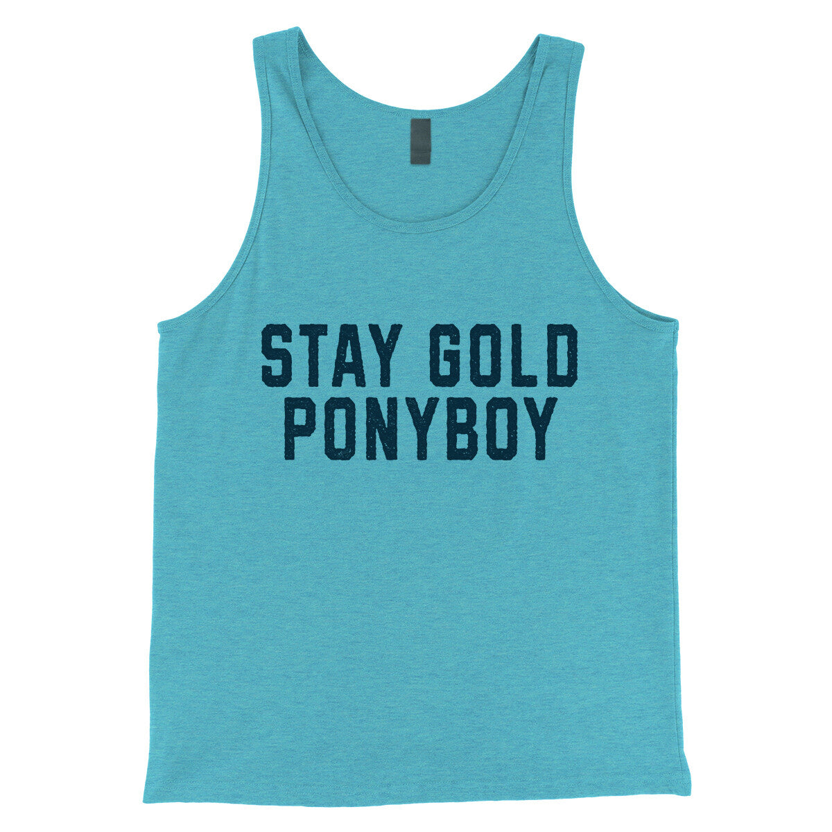 Stay Gold Ponyboy in Aqua Triblend Color