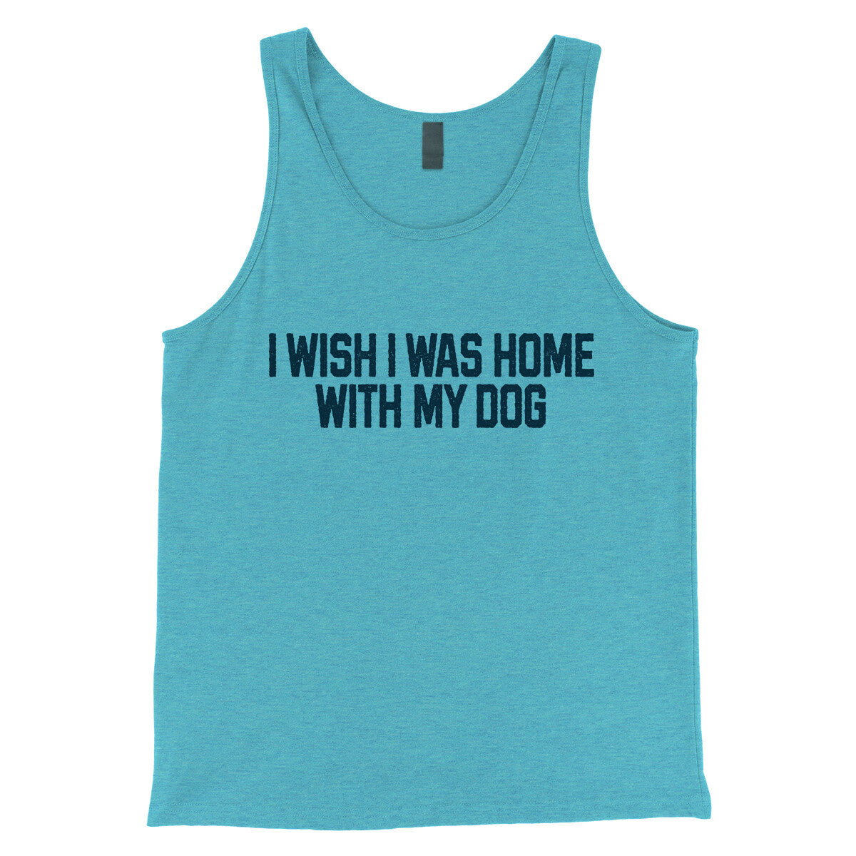 I Wish I Was at Home with my Dog in Aqua Triblend Color