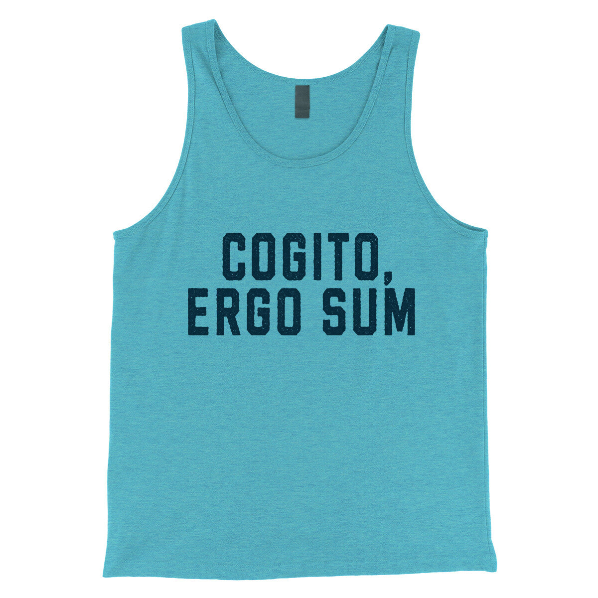 Cogito Ergo Sum in Aqua Triblend Color