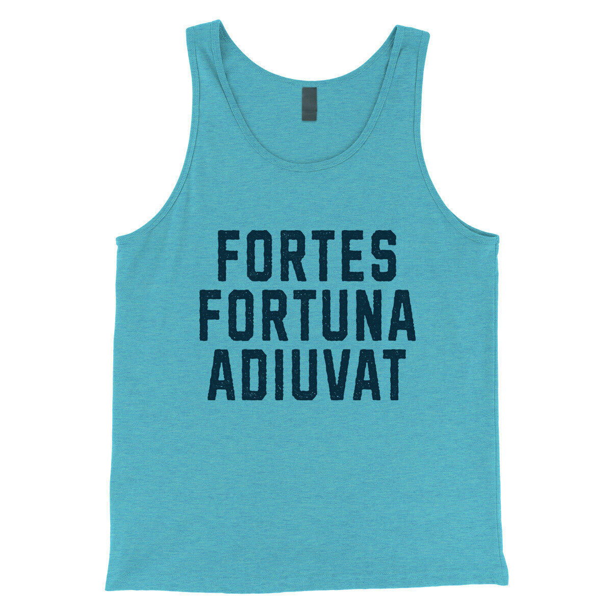 Fortes Fortuna Adiuvat in Aqua Triblend Color