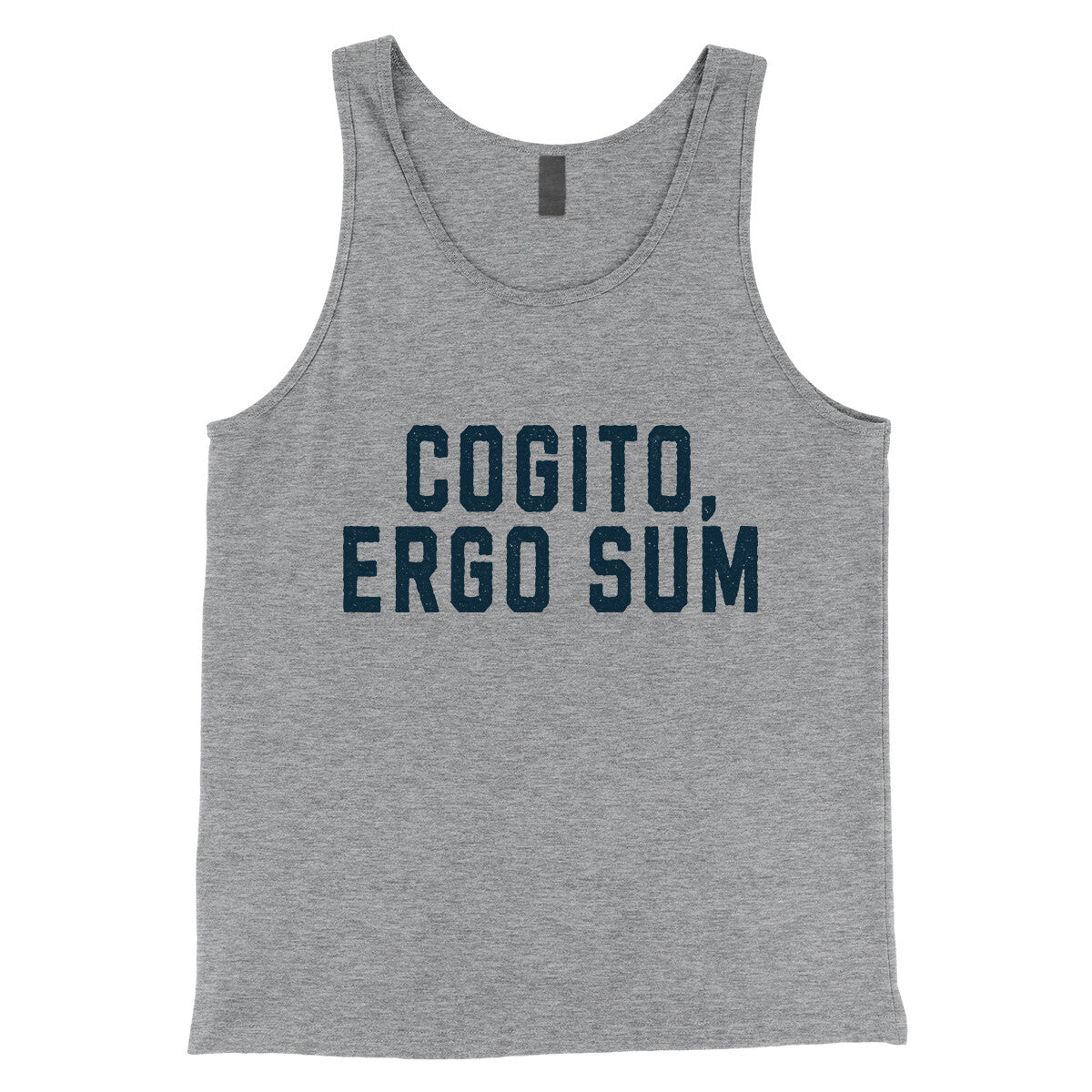 Cogito Ergo Sum in Athletic Heather Color