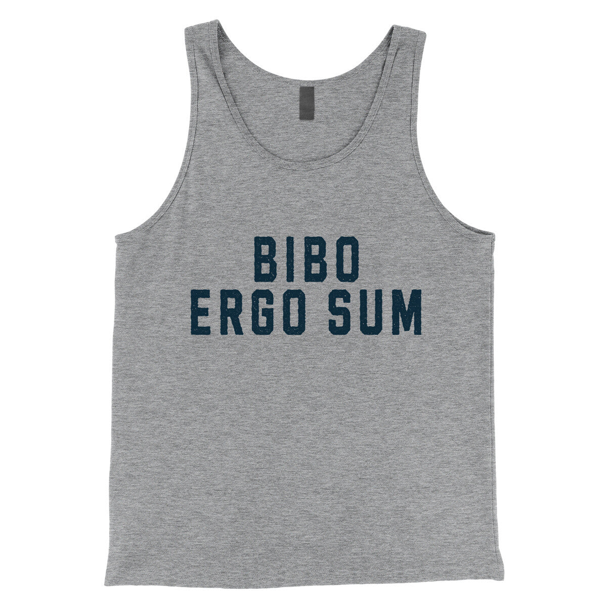 Bibo Ergo Sum in Athletic Heather Color