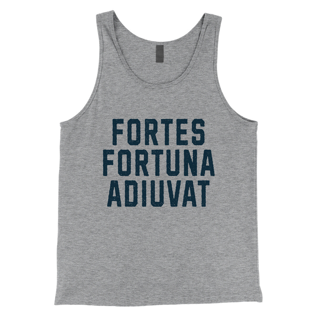 Fortes Fortuna Adiuvat in Athletic Heather Color