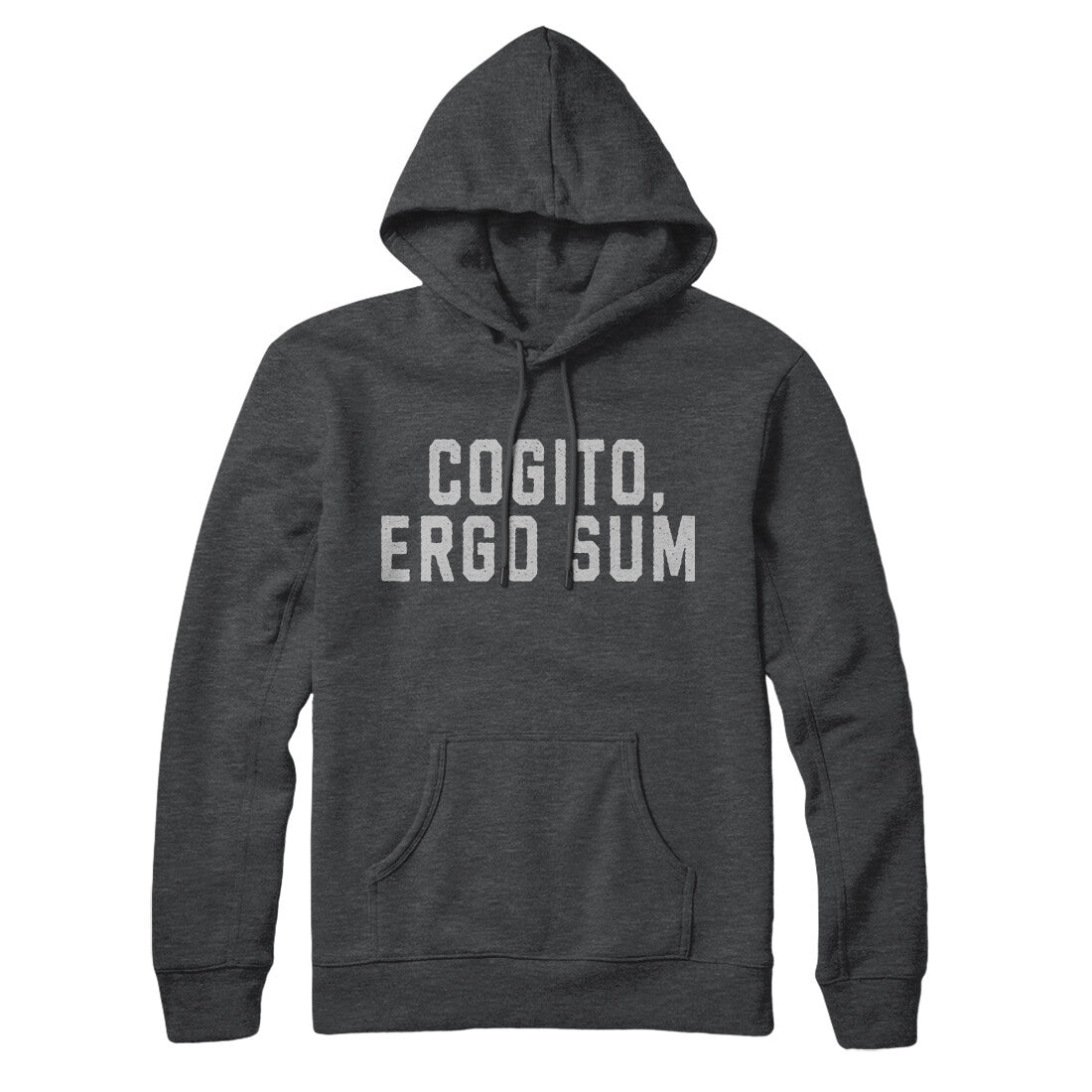 Cogito Ergo Sum in Charcoal Heather Color
