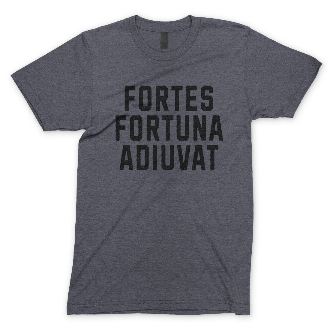 Fortes Fortuna Adiuvat in Dark Heather Color