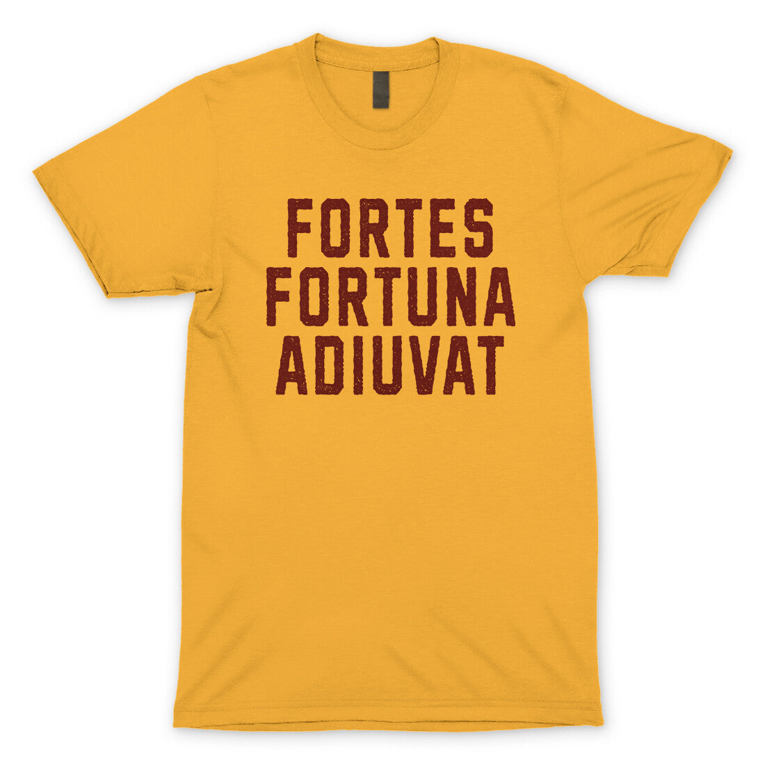 Fortes Fortuna Adiuvat in Gold Color