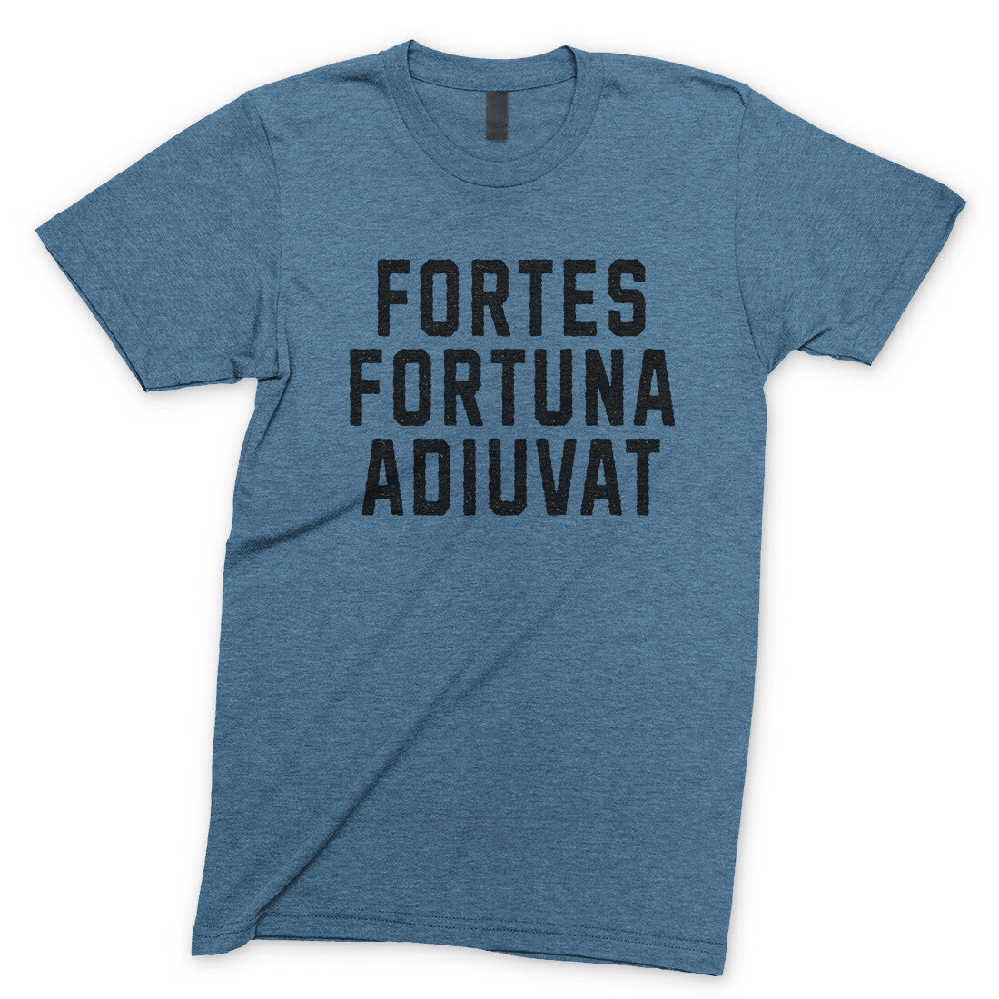 Fortes Fortuna Adiuvat in Heather Indigo Color