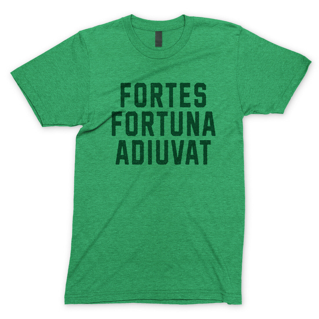 Fortes Fortuna Adiuvat in Heather Irish Green Color