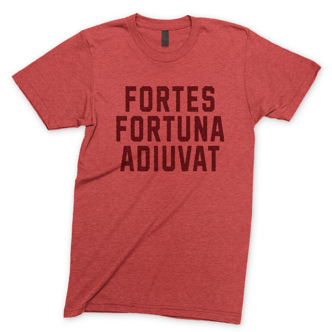 Fortes Fortuna Adiuvat in Heather Red Color