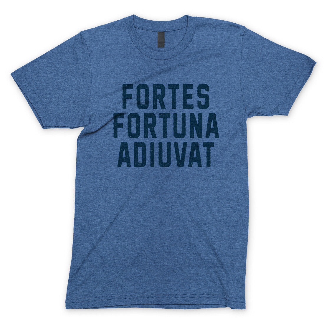 Fortes Fortuna Adiuvat in Heather Royal Color