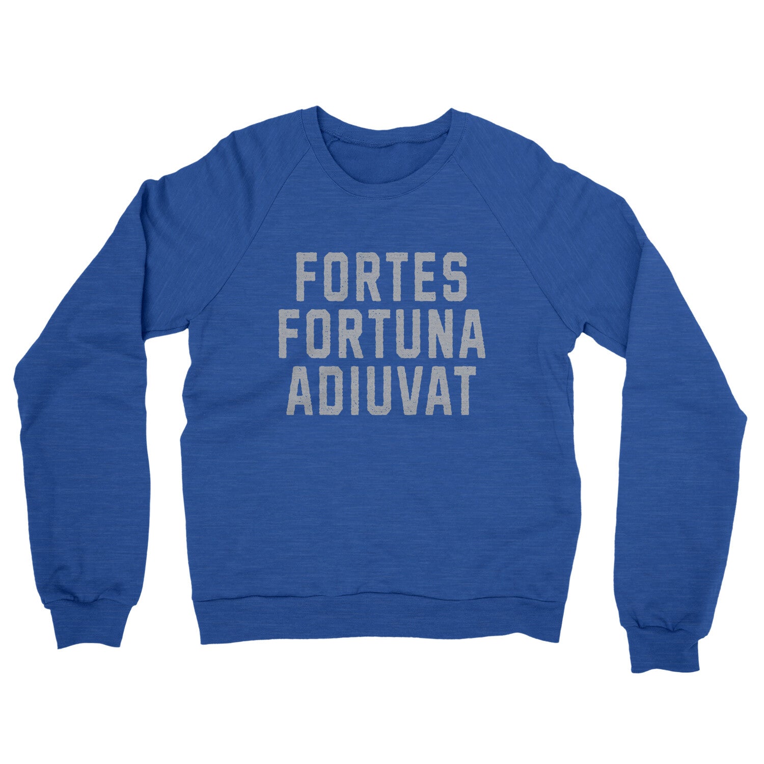 Fortes Fortuna Adiuvat in Heather Royal Color