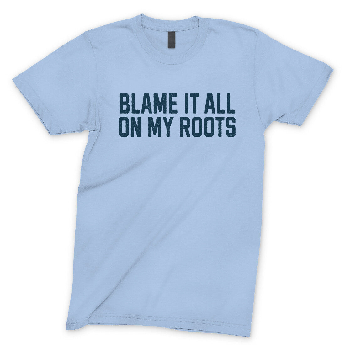Blame it All on my Roots in Light Blue Color