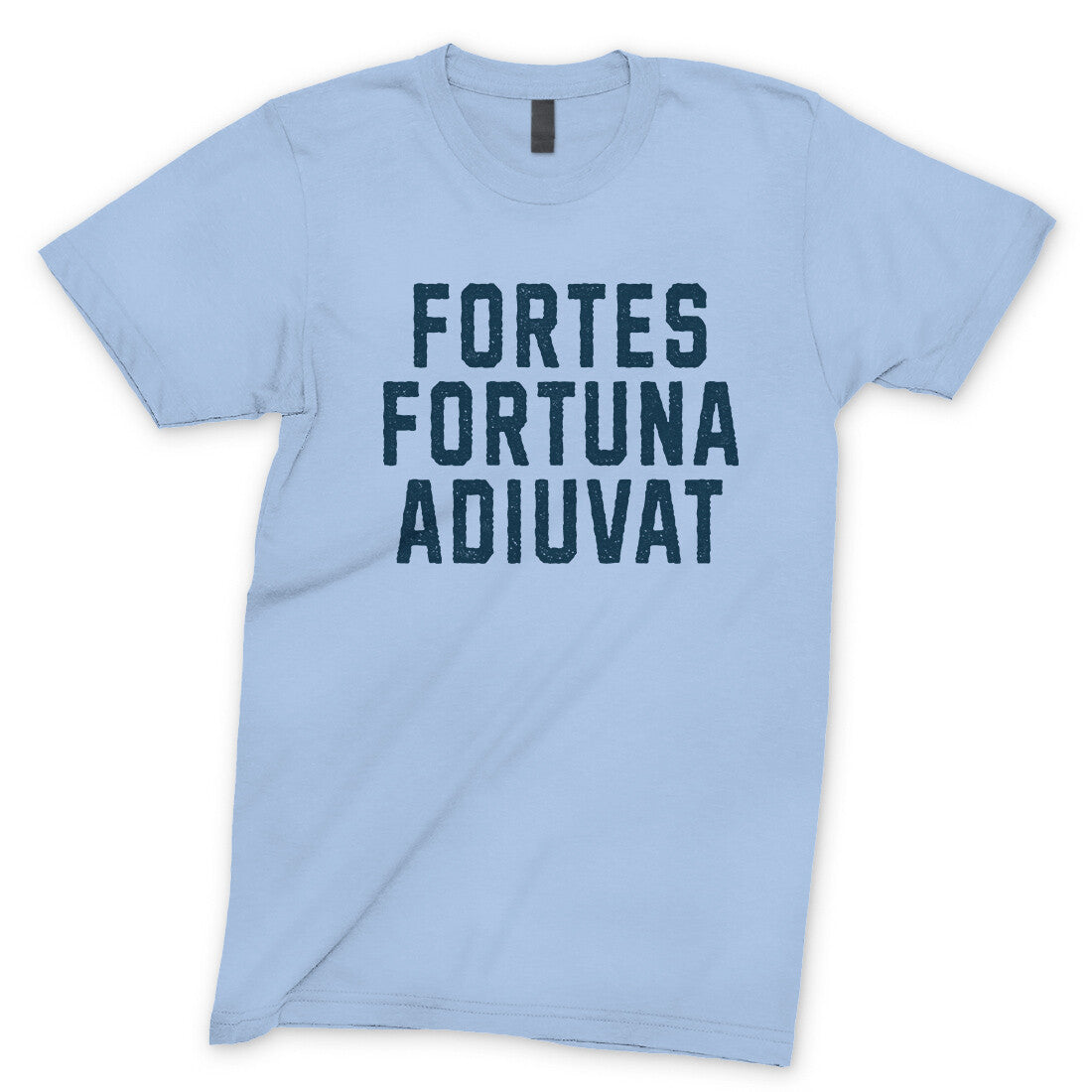 Fortes Fortuna Adiuvat in Light Blue Color