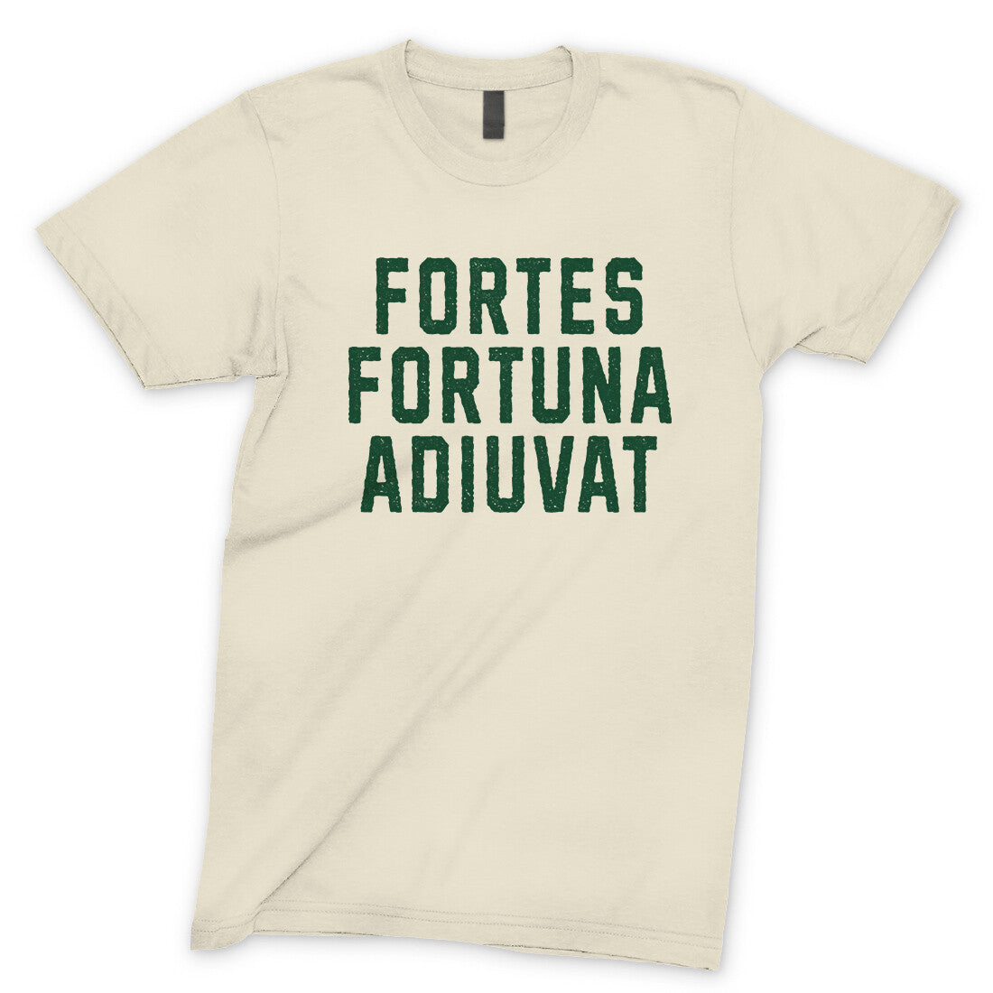 Fortes Fortuna Adiuvat in Natural Color