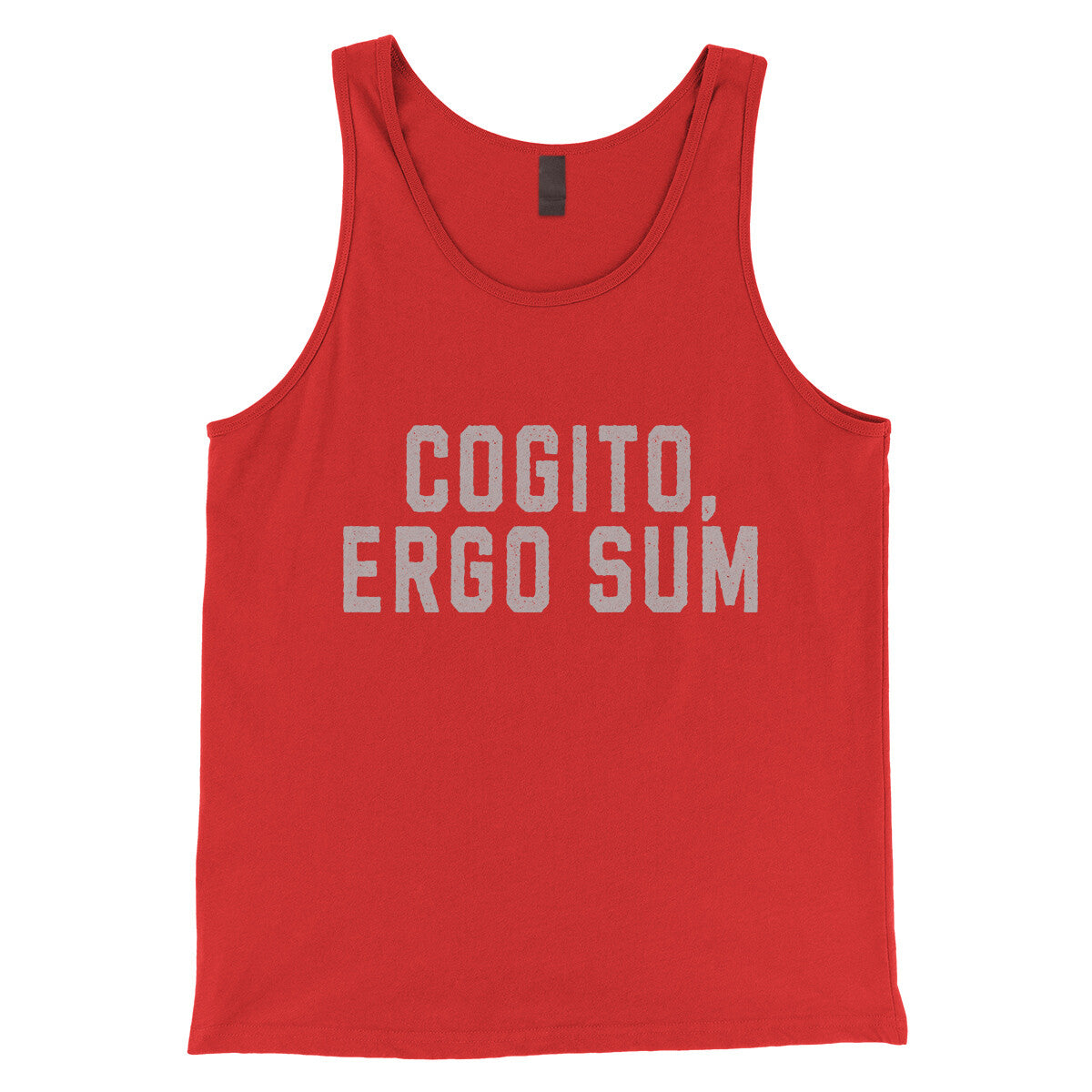 Cogito Ergo Sum in Red Color