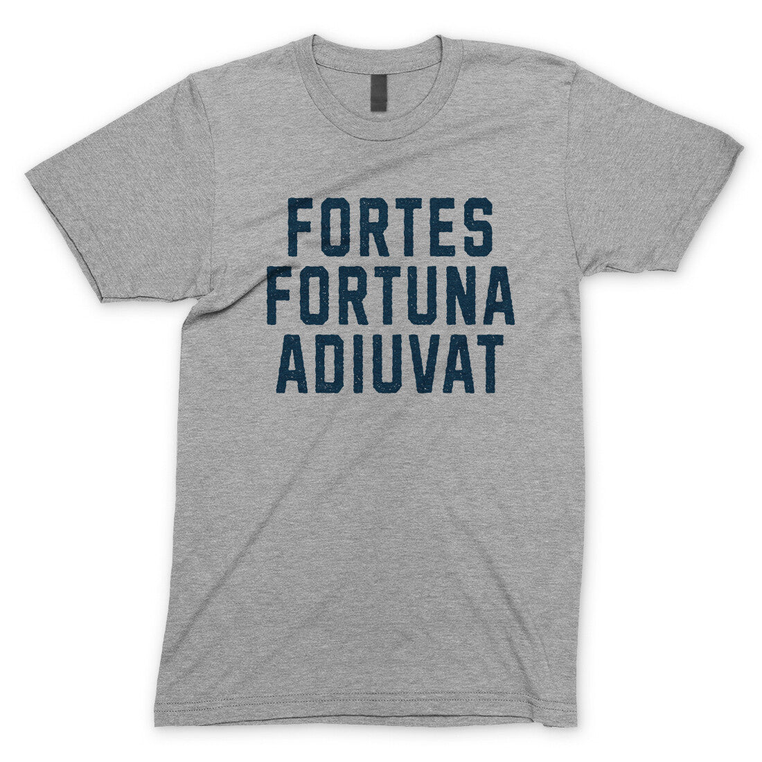 Fortes Fortuna Adiuvat in Sport Grey Color