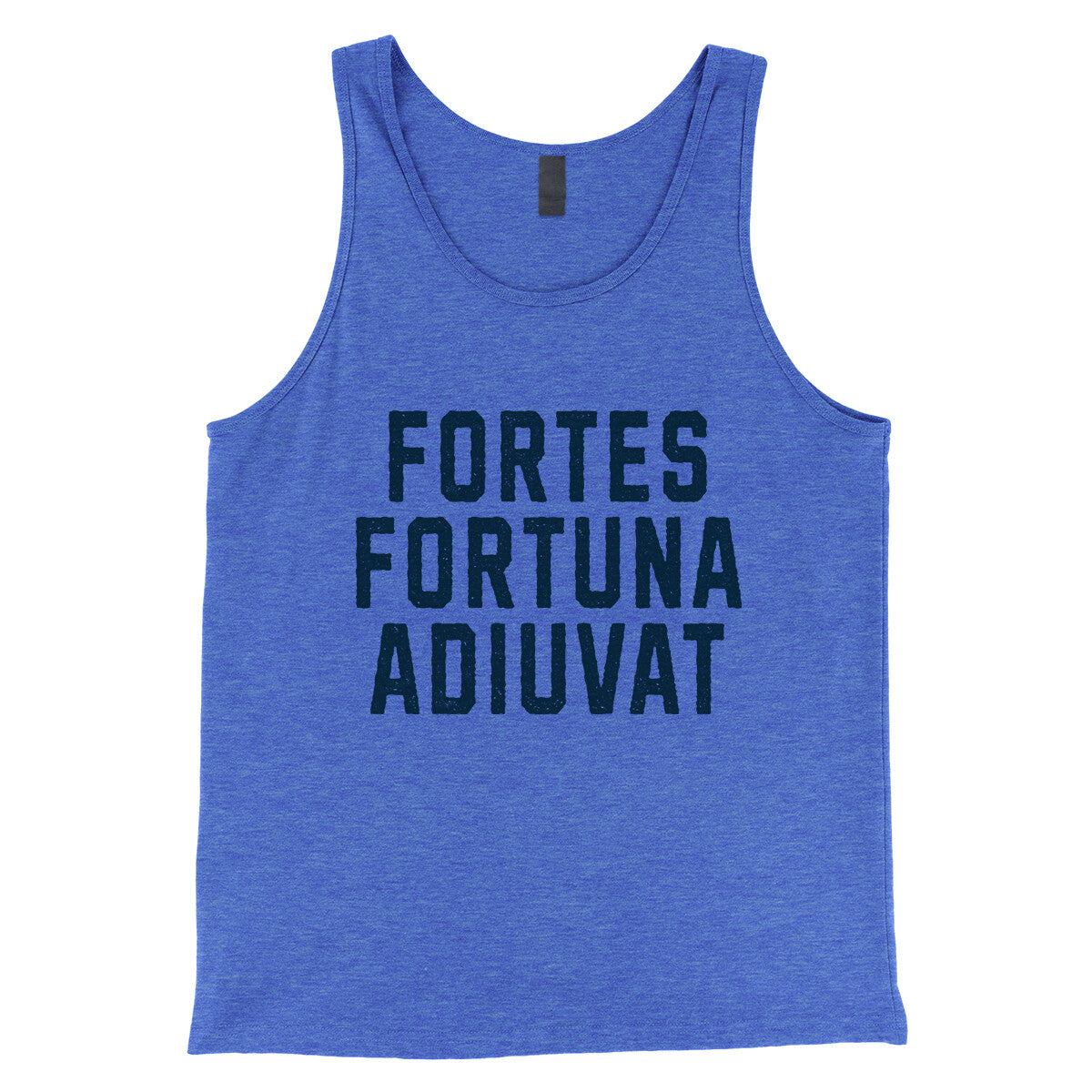 Fortes Fortuna Adiuvat in True Royal TriBlend Color