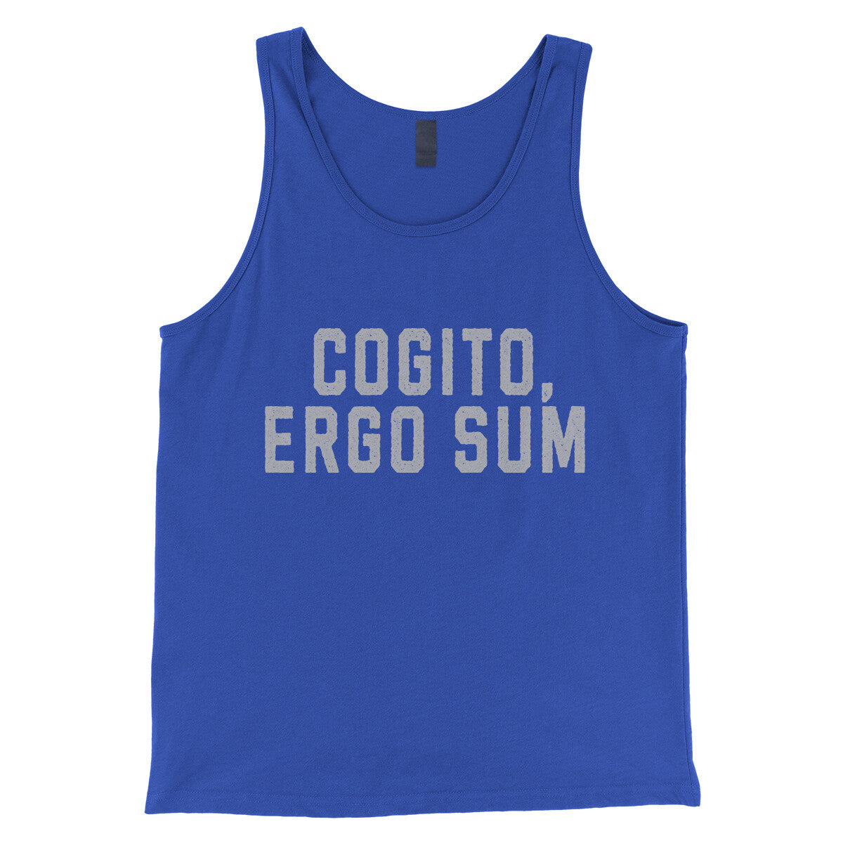 Cogito Ergo Sum in True Royal Color