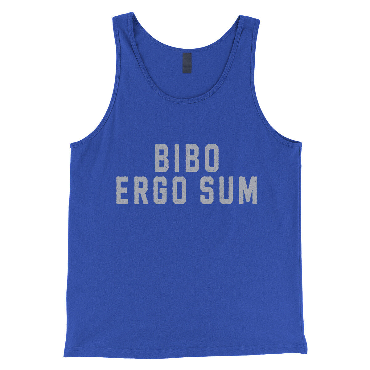 Bibo Ergo Sum in True Royal Color