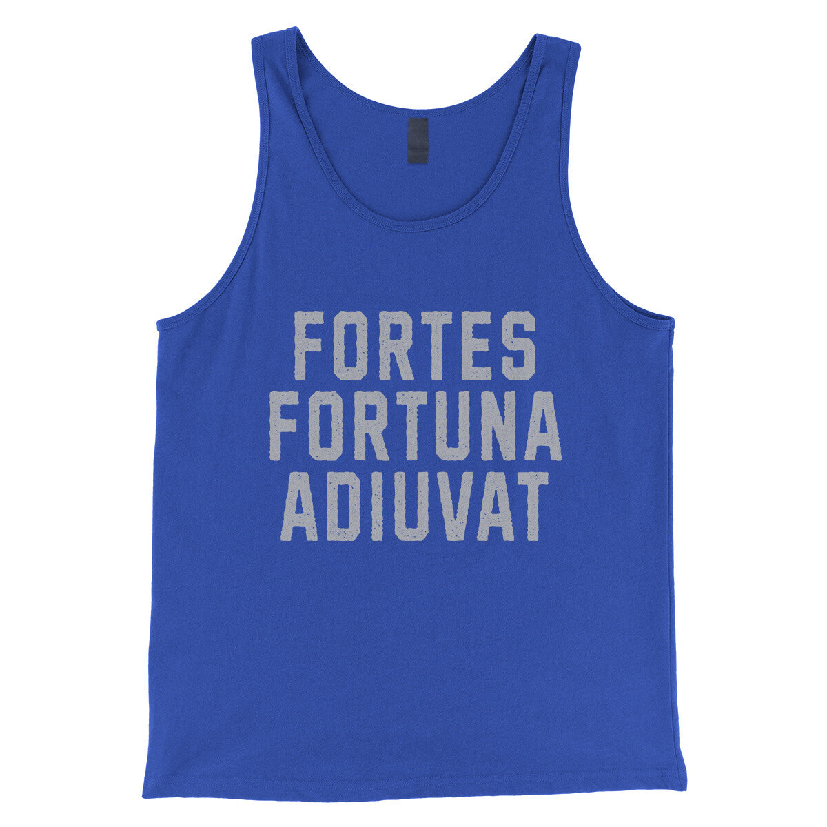 Fortes Fortuna Adiuvat in True Royal Color