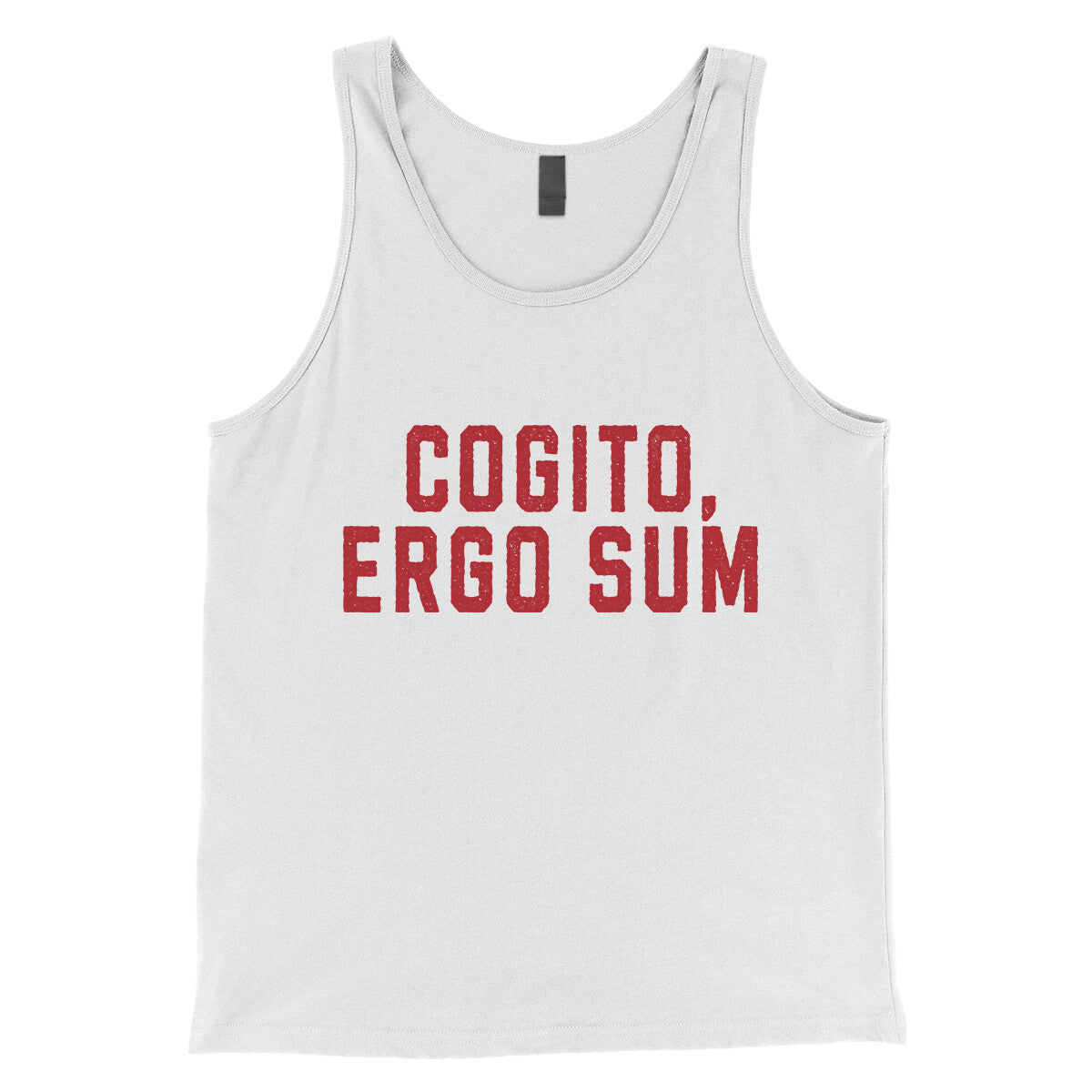 Cogito Ergo Sum in White Color