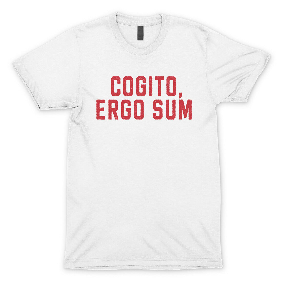 Cogito Ergo Sum in White Color