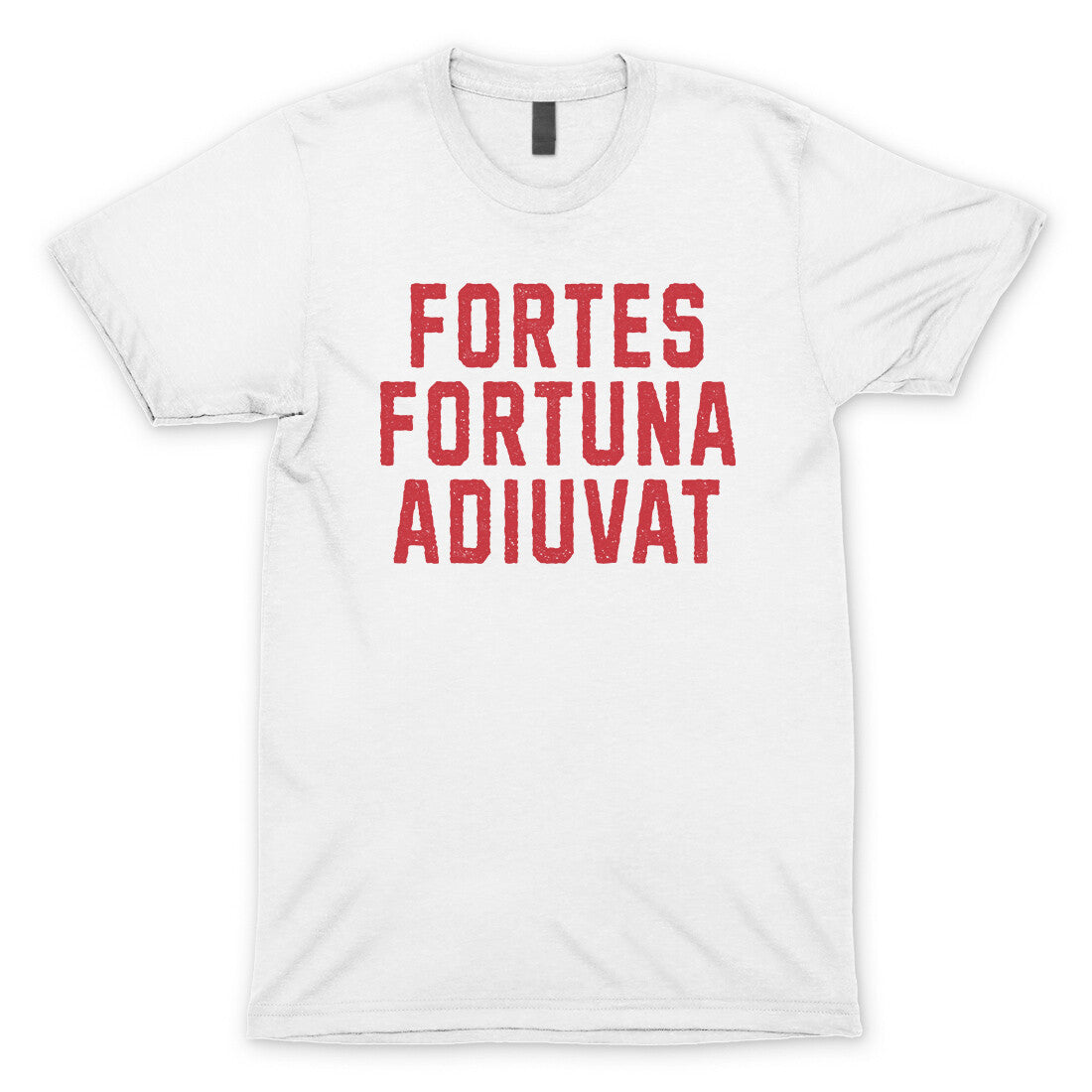 Fortes Fortuna Adiuvat in White Color